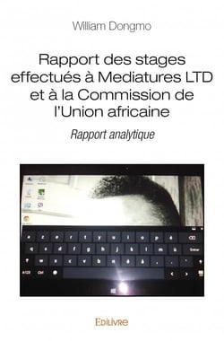 Rapport des stages effectués à mediatures ltd et à la commission de l'union africaine