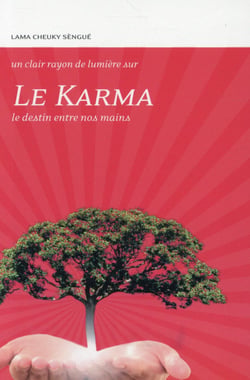 Le karma - le destin entre nos mains