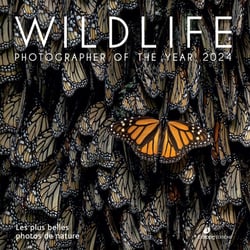 Wildlife Photographer of the Year : Les plus belles photos de nature (édition 2024)
