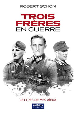 Trois Frères en Guerre : Lettres de mes aïeux