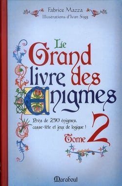 Le grand livre des énigmes t.2 - casse-tête et jeux de logique