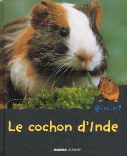Le cochon d'inde