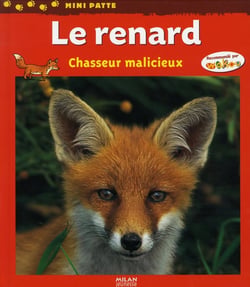 Le renard, chasseur malicieux