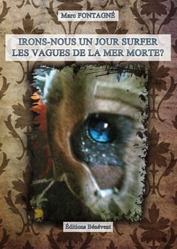 Irons-nous un jour surfer les vagues de la mer morte ?