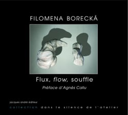 Filomena Borecka Flux, flow, souffle