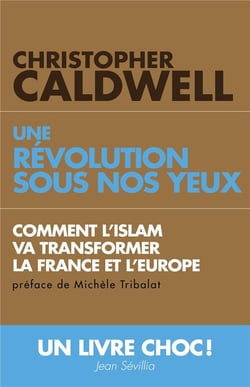 Une révolution sous nos yeux - comment l'islam va transformer la france et l'europe