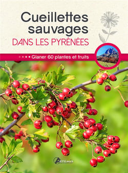 Cueillettes sauvages dans les Pyrénées