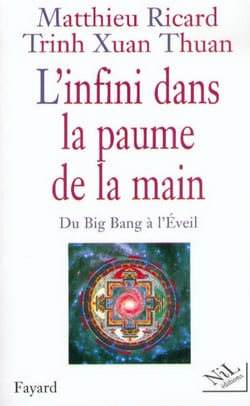 L'infini dans la paume de la main - du Big Bang à l'Eveil