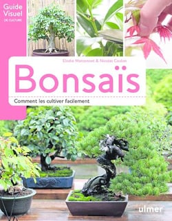 Bonsaï - comment les cultiver facilement