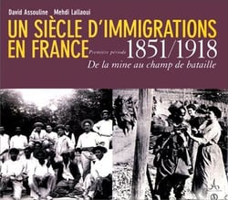 Un siècle d'immigrations en france, 1851-1918 - de la mine au champ de bataille