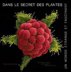 Dans le secret des plantes - un monde étrange et fascinant