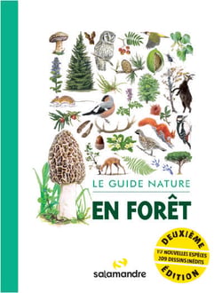 Le guide nature : en forêt