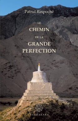LE CHEMIN DE LA GRANDE PERFECTION