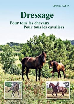 Dressage : Pour tous les cavaliers pour tous les chevaux