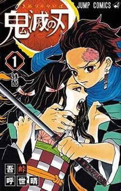 Demon slayer Tome 1