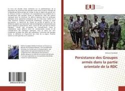Persistance des groupes armes dans la partie orientale de la rdc