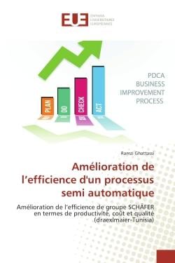 Amelioration de l'efficience d'un processus semi automatique : Amelioration de l'efficience de groupe SCHÄFeR en termes de productivite, coUt et qualite