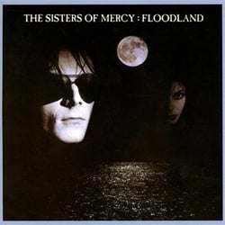 Floodland