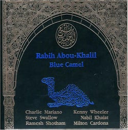 Blue camel