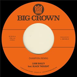 Champion (remix) - Ugly truth (remix)