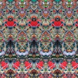 Out of body diva
