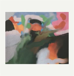 Bad Dream Jaguar - édition colorée