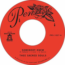 Somebody Knew + We Don't Have To Be Alone