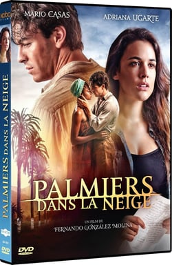 Palmiers dans la neige