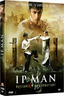 Ip Man : Naissance d'un combattant