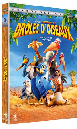 Drôles d'oiseaux