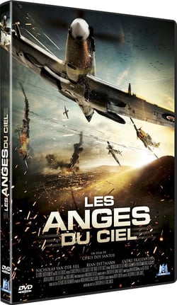 Les Anges du ciel