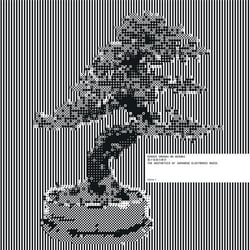 Denshi Ongaku No Bigaku: The Aesthetics Of Japanese Electronic Music Vol. 2