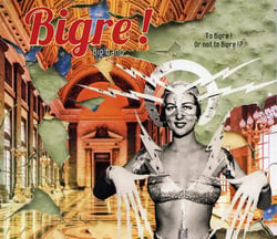 To Bigre ! or not to Bigre !