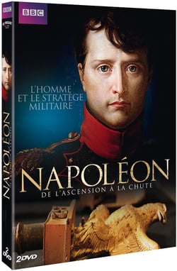Napoléon : De l'ascension à la chute