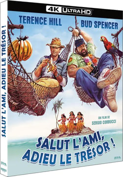 Salut l'ami, adieu le trésor !