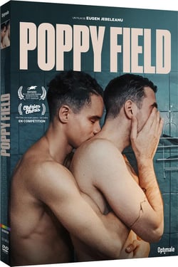 Poppy Field