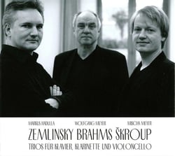 Zemlinsky - Brahms & Skroup : Trios pour piano, clarinette et violoncelle