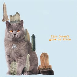 Fire Doesn't Grow On Trees - édition gatefold 180g