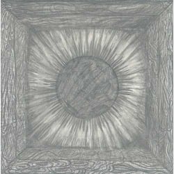 Kino IV: black sun rising