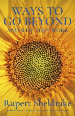 Ways to go beyond and why they work : seven spiritual practices in a scientific age
