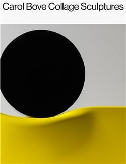 Carol bove : collage sculptures