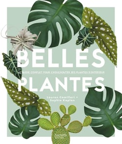 Belles plantes - le guide complet pour chouchouter ses plantes d'intérieur
