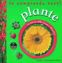 Plante