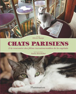 Chats parisiens - à la rencontre de félins incontournables de la capitale