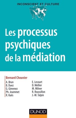Les processus psychiques de la médiation : créativité, champ thérapeutique et psychanalyse (édition 2012)