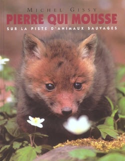 Pierre qui mousse