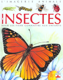 Insectes
