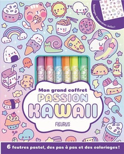 Mon grand coffret passion kawaii