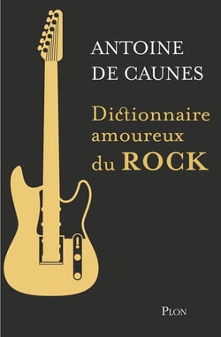Dictionnaire amoureux : dictionnaire amoureux du rock