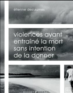 Violences ayant entraîné la mort sans intention de la donner